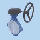 Fluorine-butterfly butterfly valve (wafer)