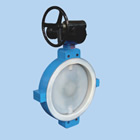 Fluorine-butterfly butterfly valve (wafer)