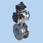 Pneumatic butterfly valve