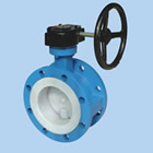 Turbine drive butterfly valve (middle line)