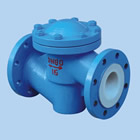 Fluorine-butterfly check valve