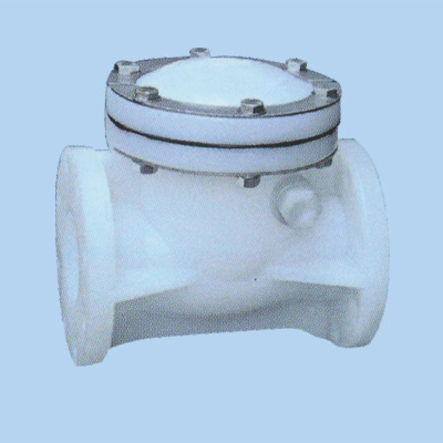 Swing check valves