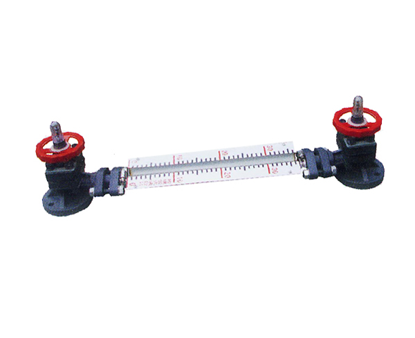 G41F - 6 f level gage diameter 15 to 50 anti-corrosion type