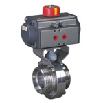 Pneumatic butterfly valve health