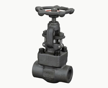 Forged steel gate valve