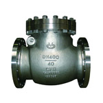 Oxygen use check valves