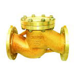 Oxygen is special check valve