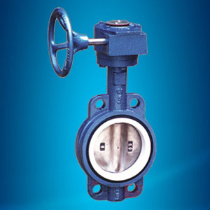 The wafer fluorine-butterfly butterfly valve