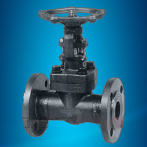 Flange forged steel gate valve