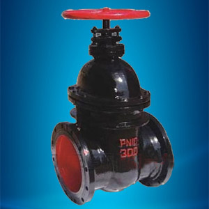 Non-rising stem cast iron gate valves