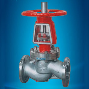 Oxygen special globe valve