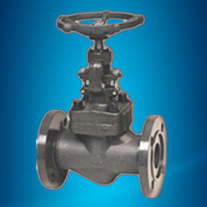 Forged steel globe valve