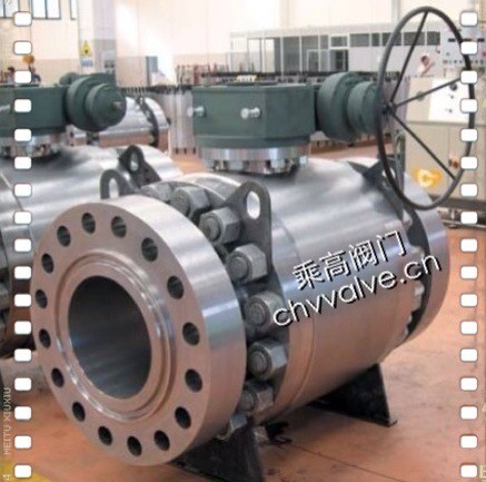 Fixed ball valve