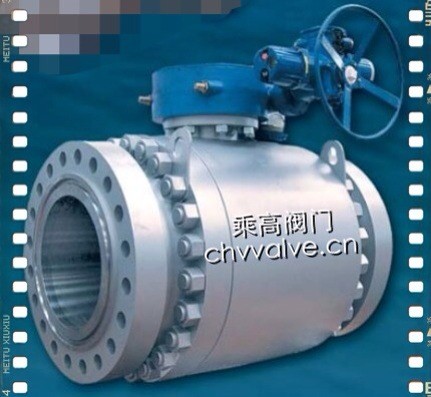 Fixed ball valve